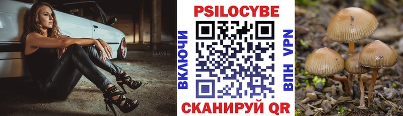 Псилоцибиновые грибы мицелий  наркотики  Баксан 
